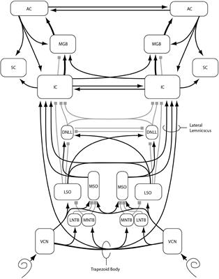 Impaired Binaural Hearing in Adults: A Selected Review of the Literature